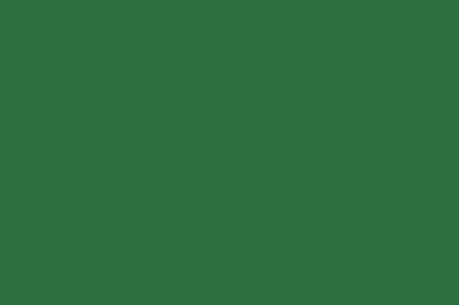 Solid green color background representing the color you're drawn to today in a simple and calm shade.