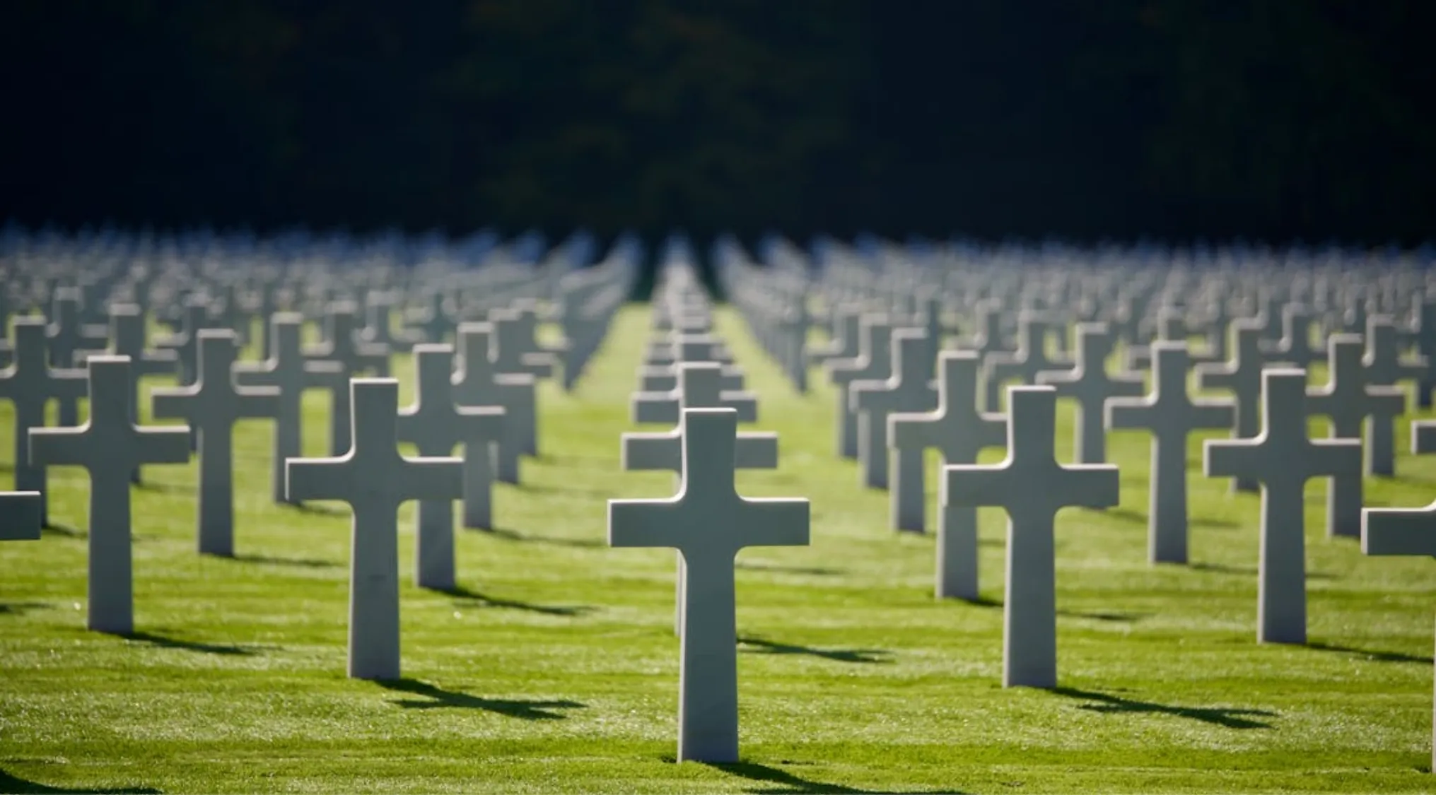 Rows of white crosses at a military cemetery symbolizing World War II and general knowledge about the war's end year.
