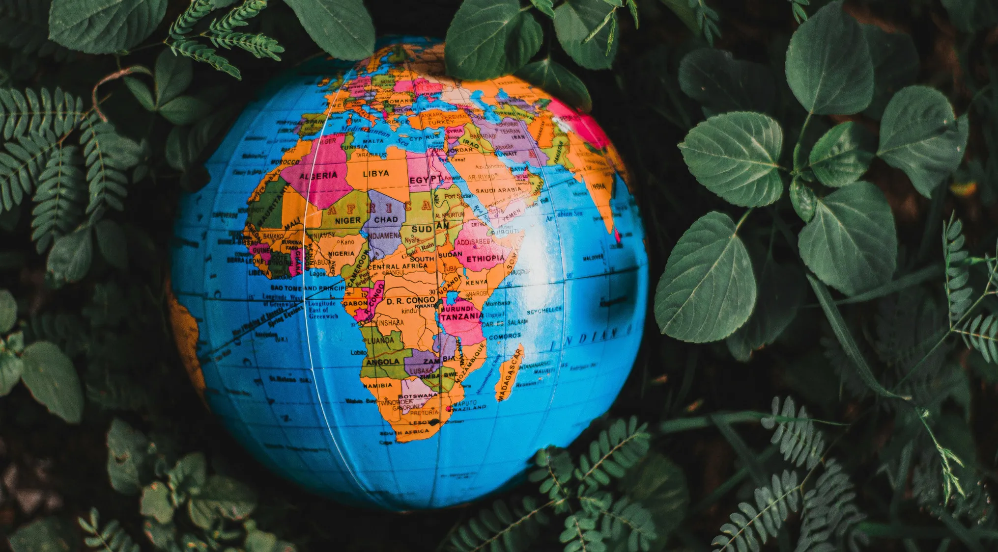 Inflatable globe surrounded by green leaves, illustrating international relations and political stability concepts.