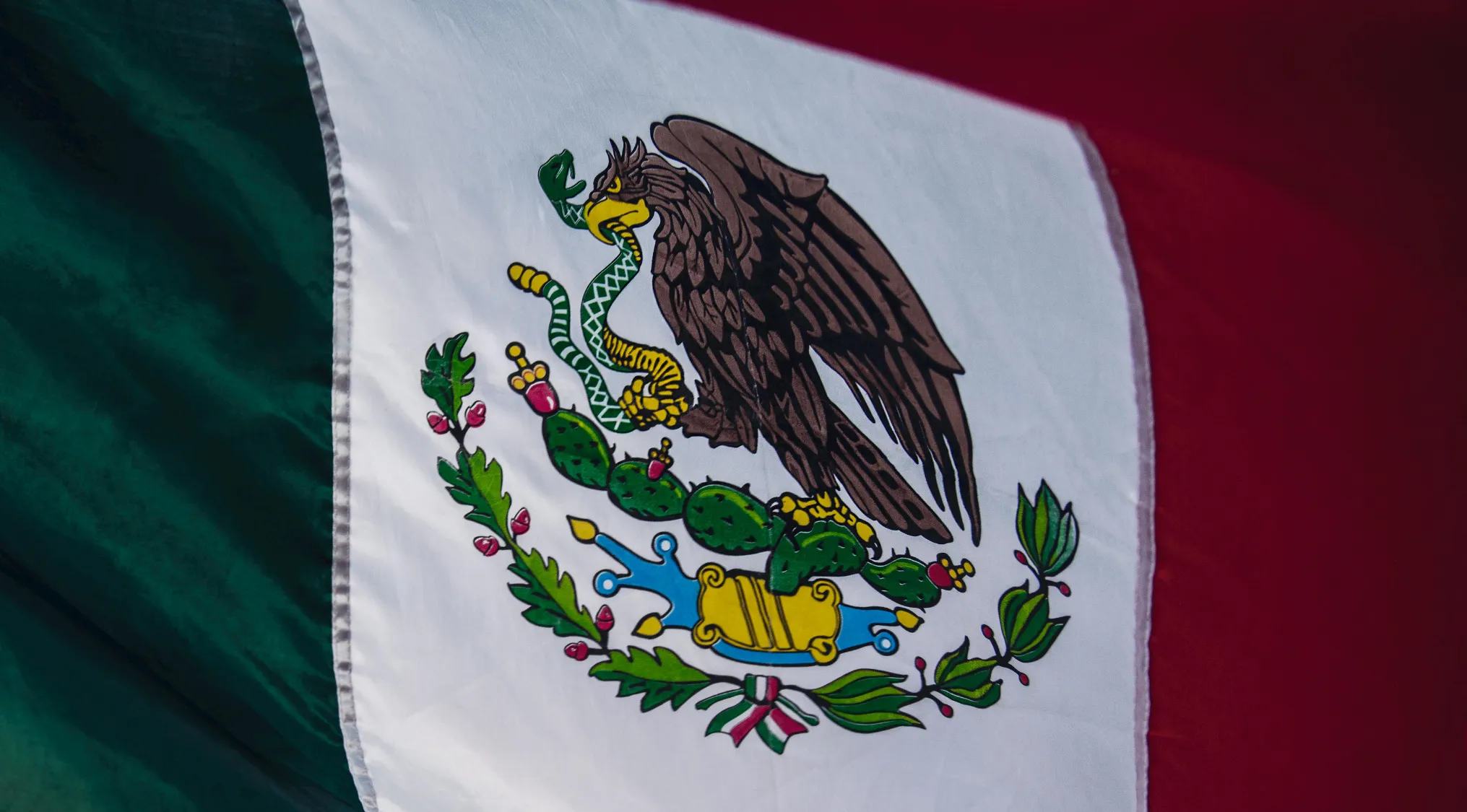 Mexican flag close-up representing Advanced Placement school quiz on government and politics domestic policy inequality.