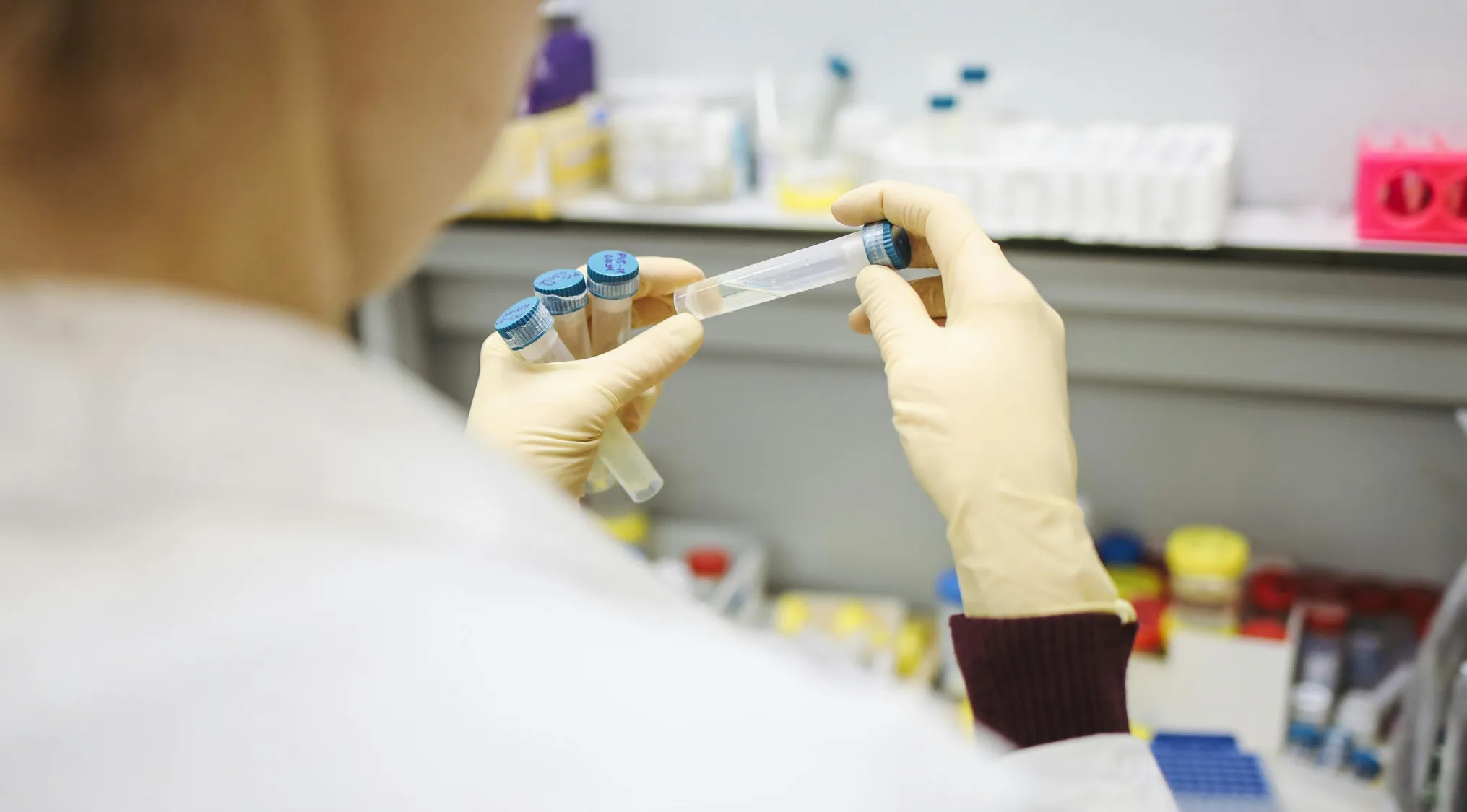 Scientist in lab coat and gloves handling test tubes, representing advanced placement school quiz biology concepts.
