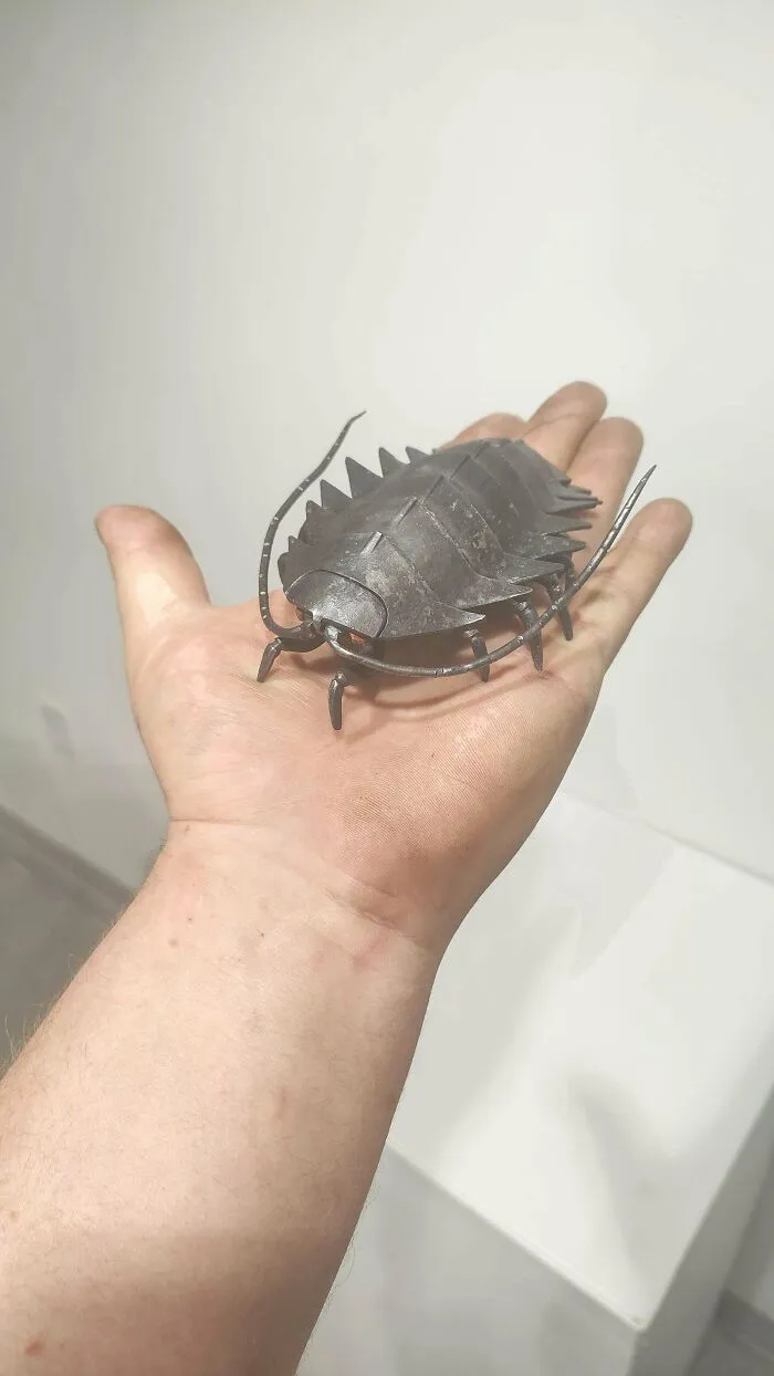 A Little Hand Forged Isopod I Just Finished Up. I'm Quite Pleased With Him