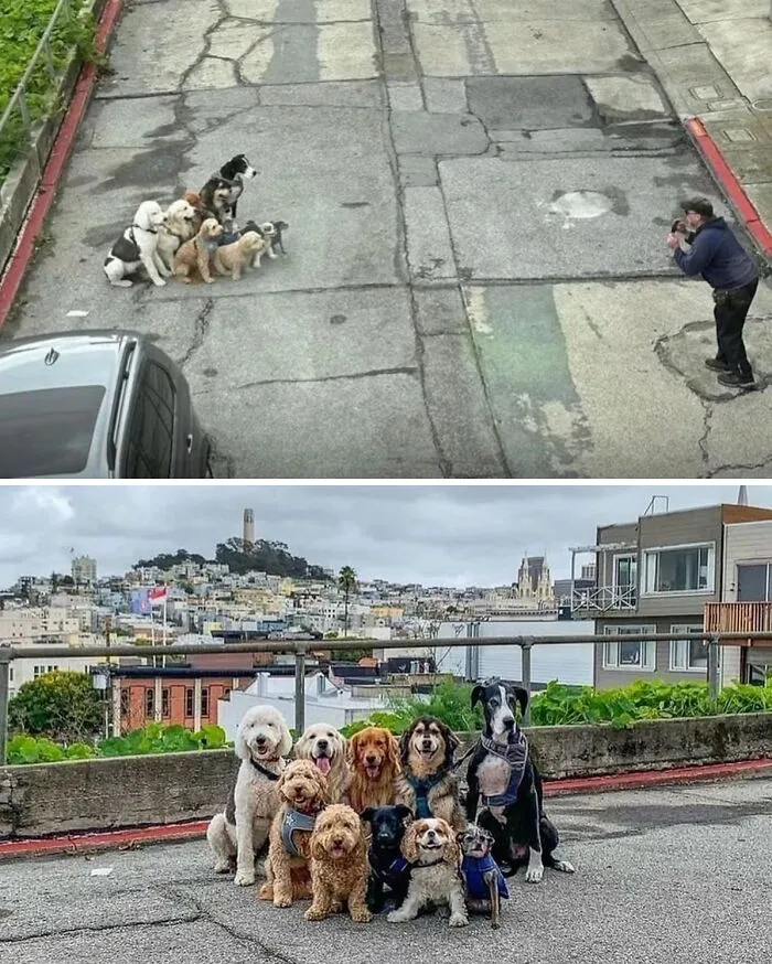 85 Irresistible Dog Moments Shared By This Community