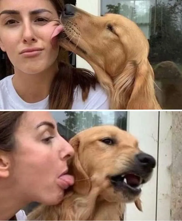 85 Irresistible Dog Moments Shared By This Community