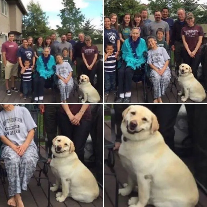 85 Irresistible Dog Moments Shared By This Community