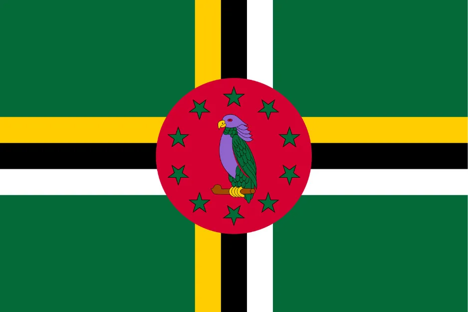 Flag of Dominica with green background, yellow and black cross, and a red circle featuring a purple parrot and green stars.