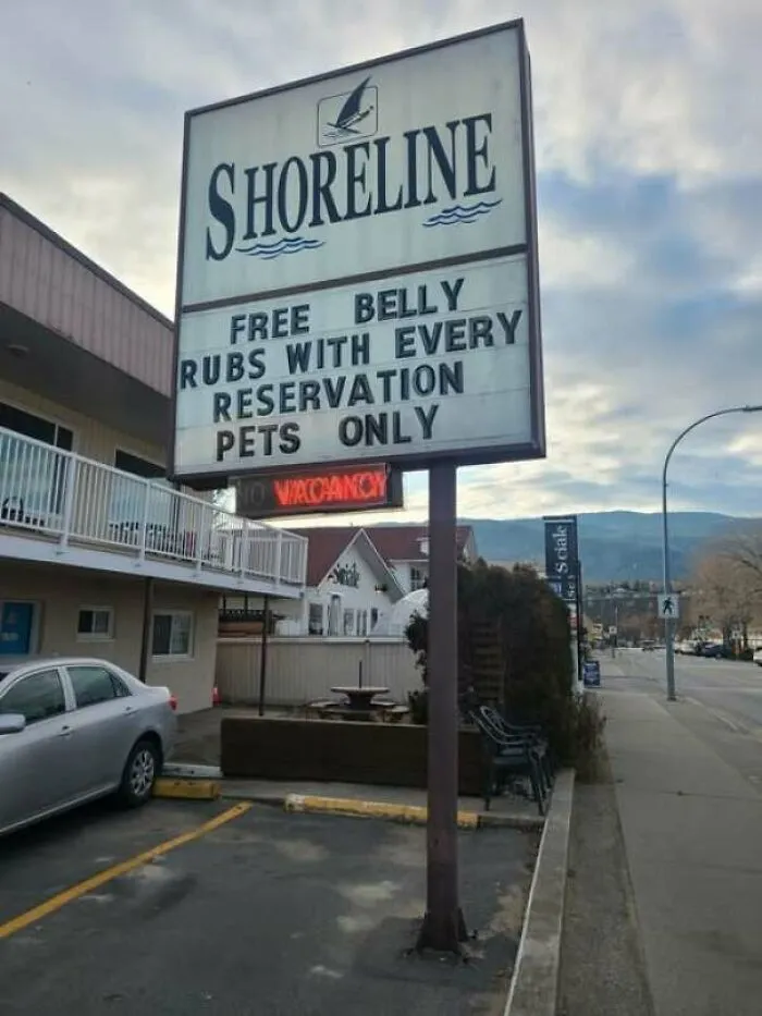Shoreline motel sign offering free belly rubs with reservations, a strange sign that deserves a double take.
