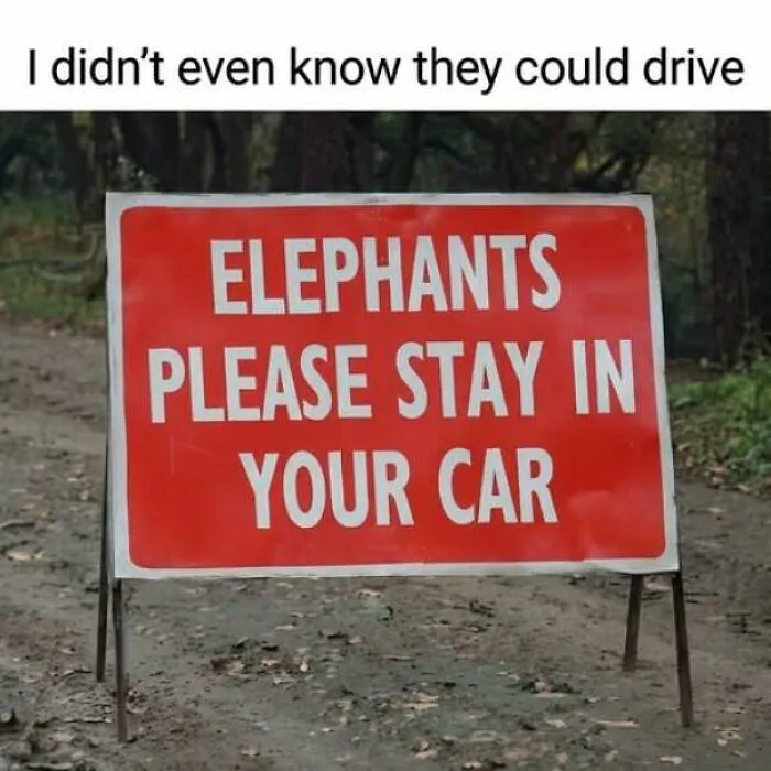 50 Public Signs That Accidentally Became Comedy Gold
