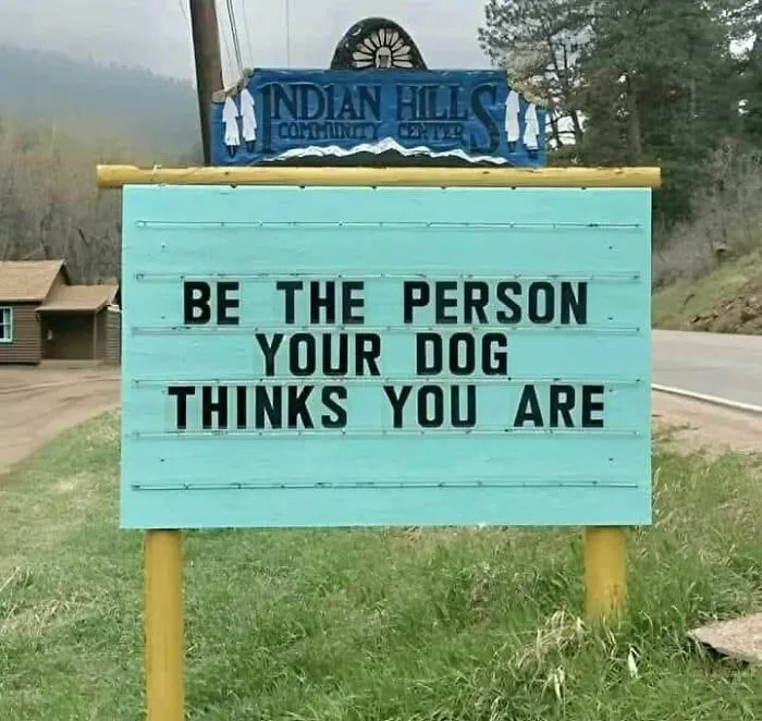 Roadside sign with an inspiring message about dogs encouraging viewers to be the person their dog thinks they are, a strange sign.