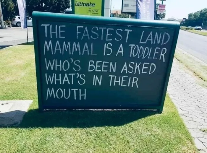 50 Public Signs That Accidentally Became Comedy Gold