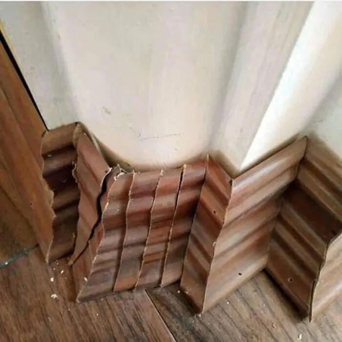 This Hurts My Eyes