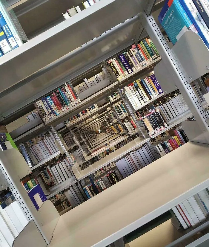 Do All Libraries Have Portals Like This?