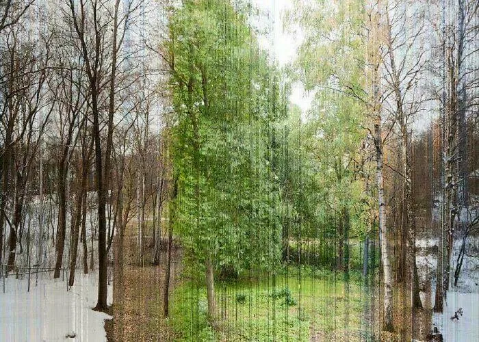 A Picture In 365 Slices With Each Slice Being One Day Of The Year