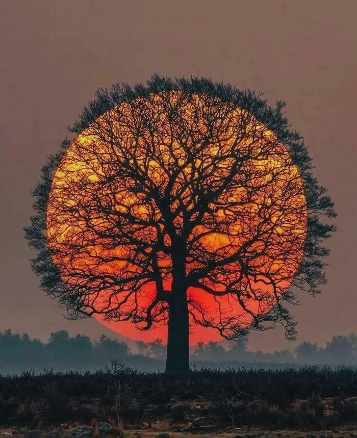 A Sunset