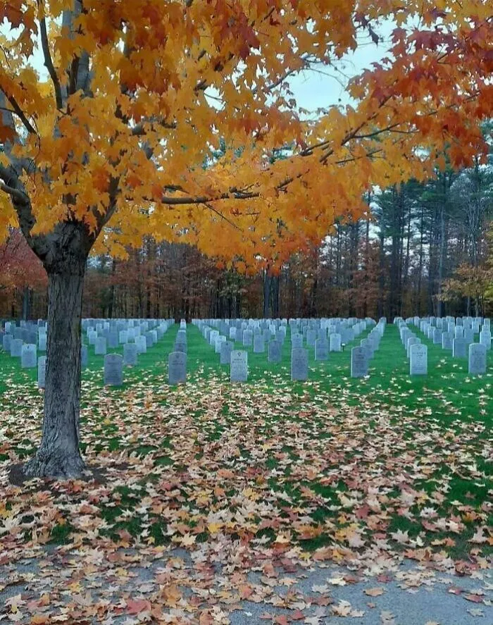 Looks Like Two Separate Photos