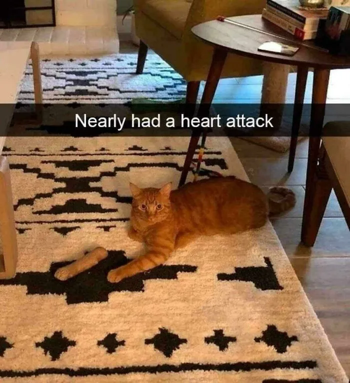 And For My Next Magic Trick... [not Oc]
