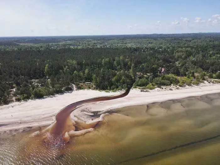 This River In Latvia Looks Like A Crocodile Crawling Into The Sea