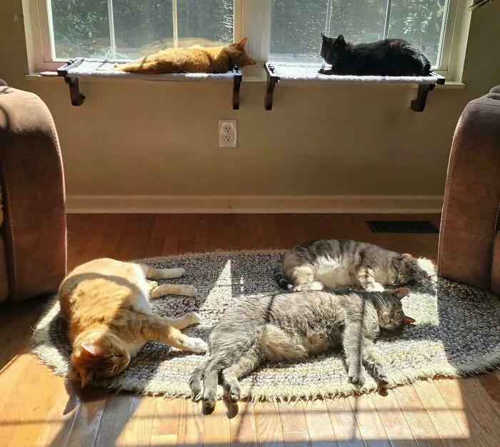 The Council Is Recharging