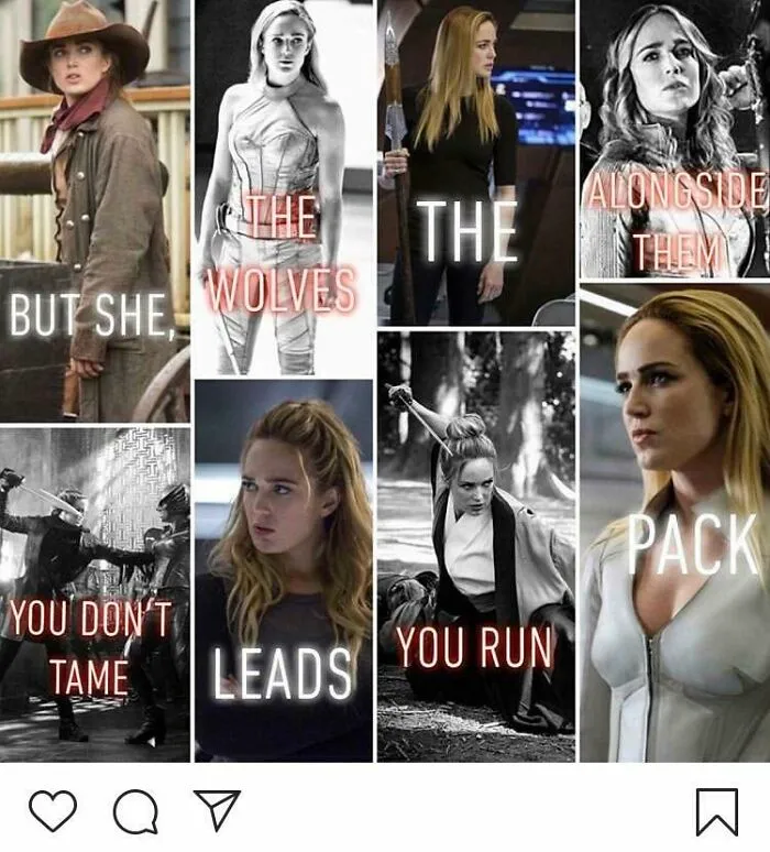 But She, The Wolves The Alongside Them You Don’t Tame Leads You Run Pack