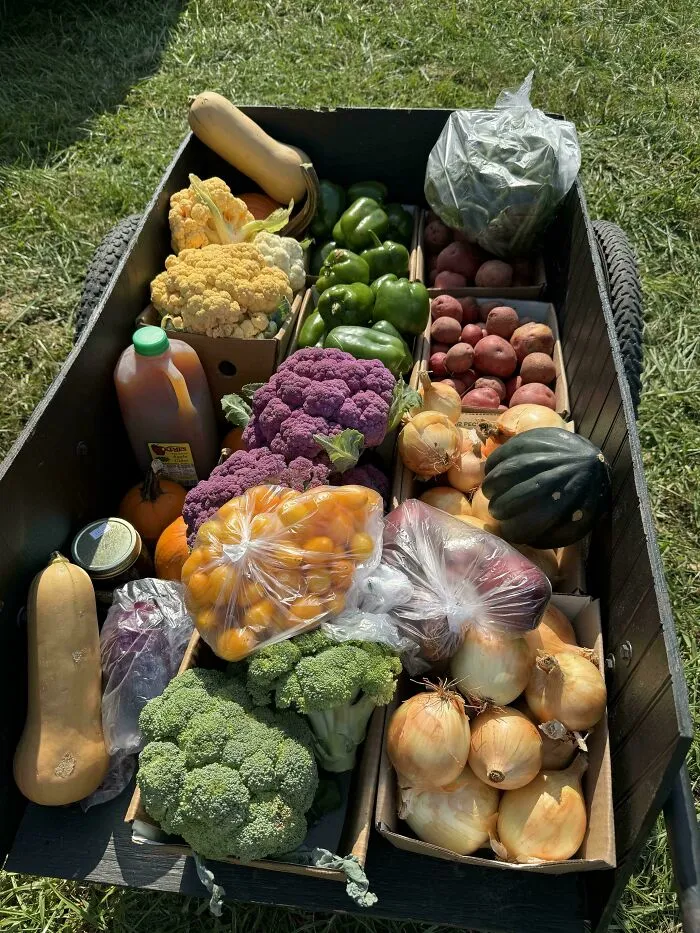 $130 At The Farm Today! I Ended Up With About 63 Lbs Of Produce. It Lasts Us About 3 Weeks