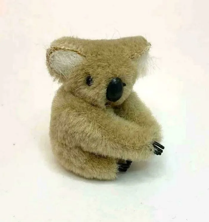 I Loved These Koala Clips