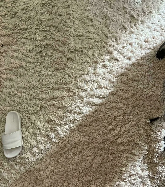 Beige slipper camouflaged on shaggy carpet blending perfectly with the textured surface and shadows nearby.