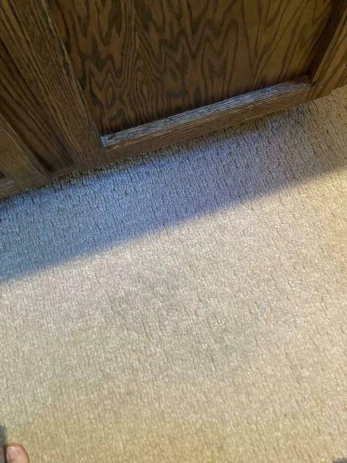Find The Contact Lense