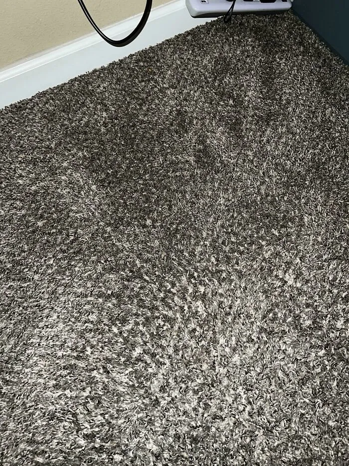 Gray carpet with a perfectly camouflaged cat blending into its textured surface near a baseboard and cables.