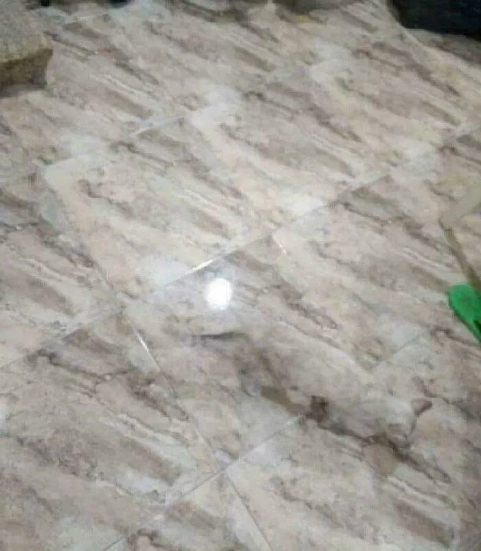 Cat, Once You See It You Can’t Unsee It