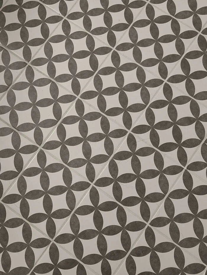 Patterned floor tiles with perfectly camouflaged cat blending into the matching geometric design background.