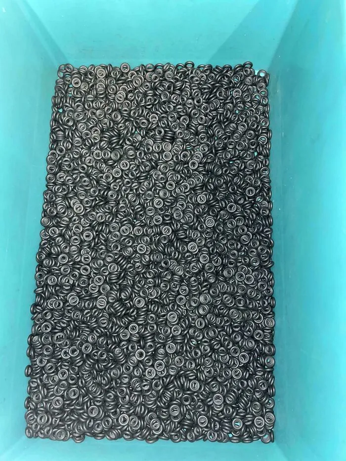 A camouflaged caterpillar blending perfectly among hundreds of small black rubber O-rings in a blue container.