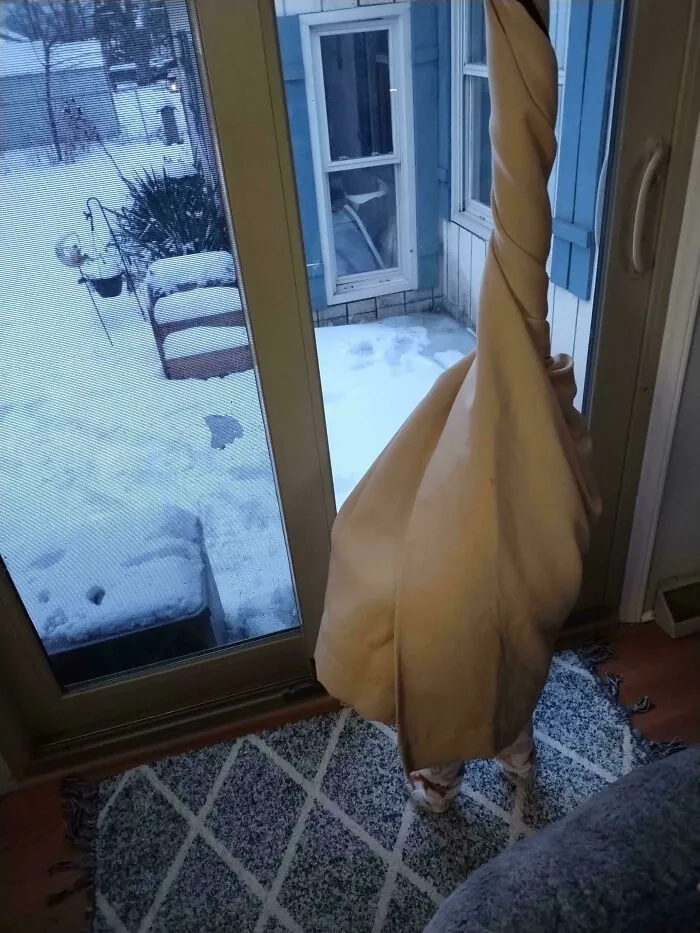 Dog perfectly camouflaged under a beige blanket hanging by a glass door with snow visible outside.