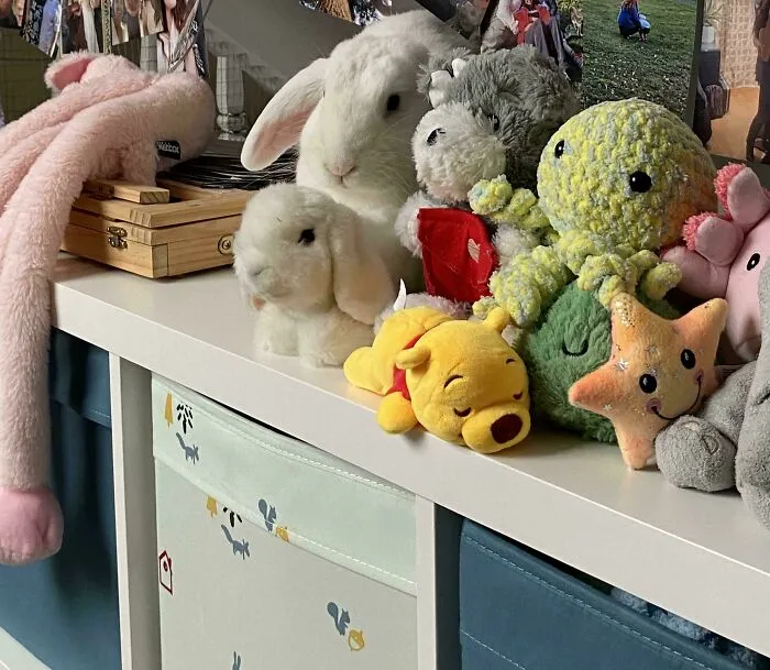 A white rabbit perfectly camouflaged among stuffed animals on a shelf, blending in with colorful plush toys.