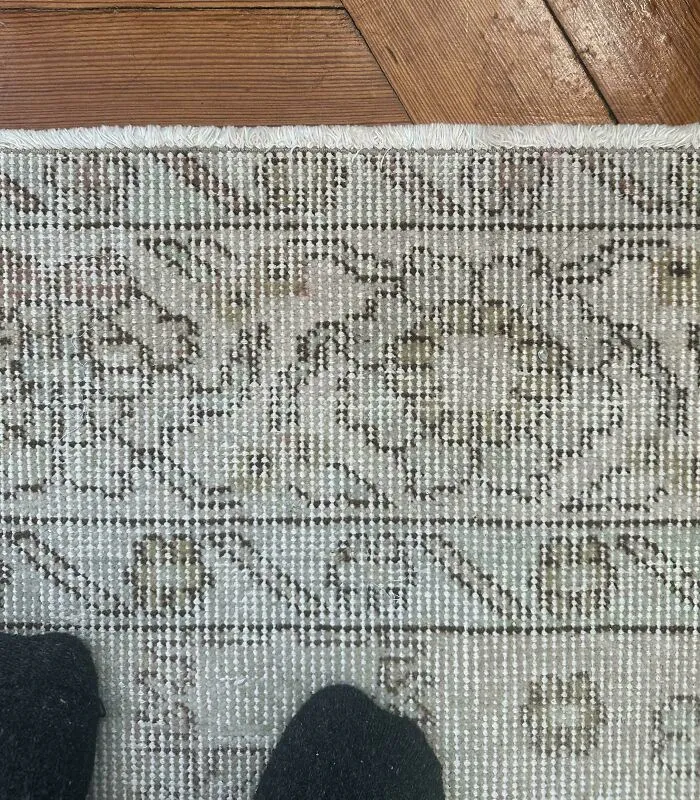 Black cat perfectly camouflaged on a patterned rug blending in with the design under wooden floor boards.