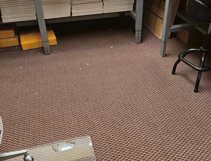 Brown patterned carpet blending perfectly with a camouflaged owl hidden near shelves in a dimly lit room.