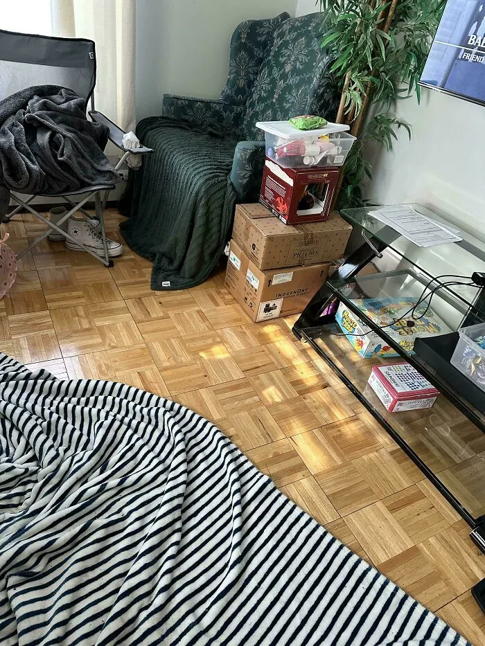 Living room with striped blanket on floor, camouflaged cat blending into dark green chair and cozy clutter around.