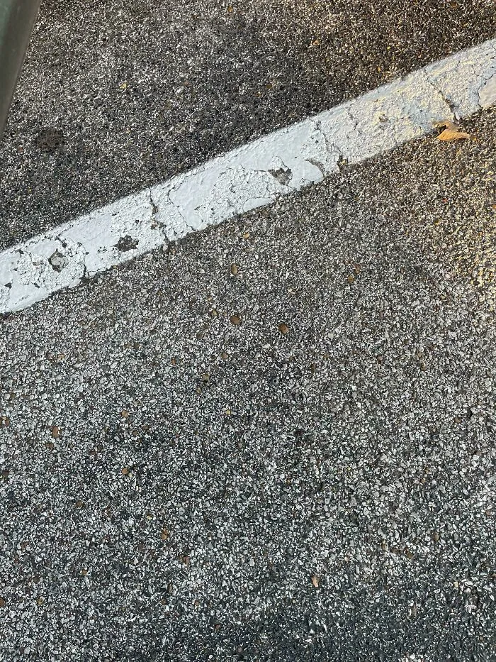 Faintly visible perfectly camouflaged spider blending into asphalt near a worn white parking line in a parking lot.