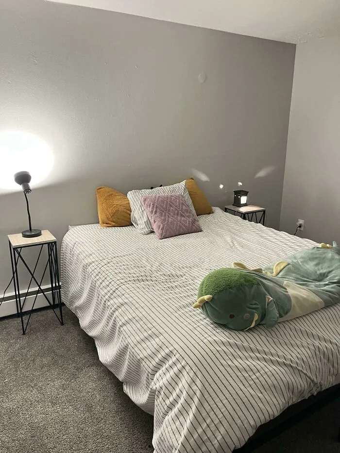 Find The Cat