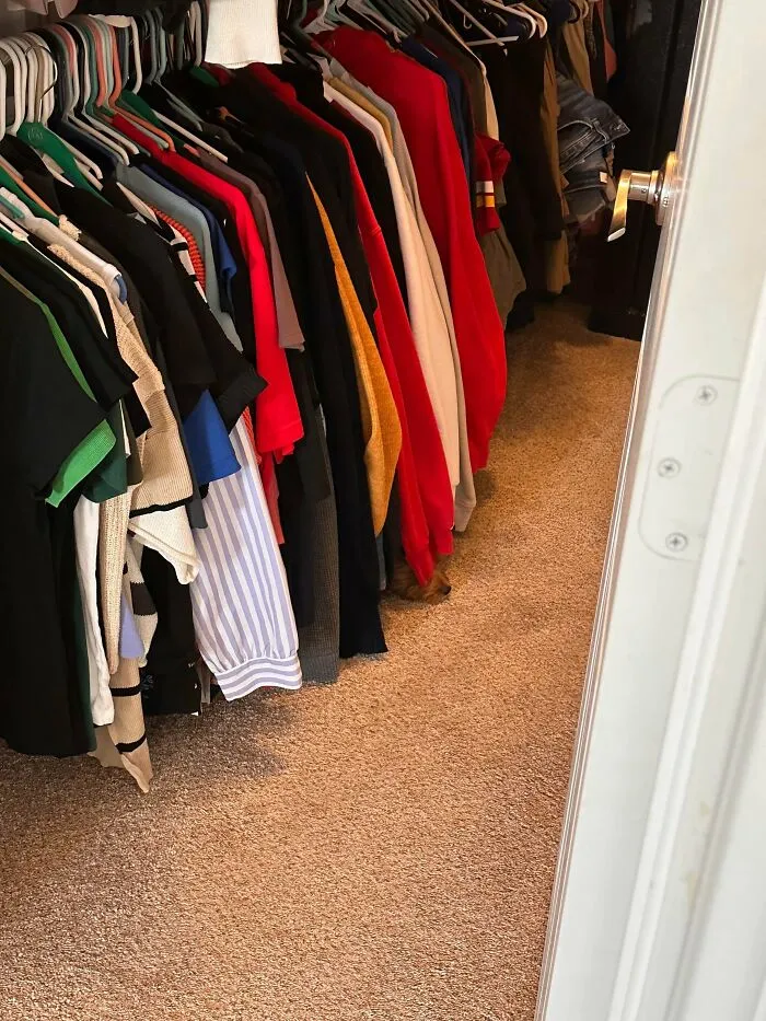Closet with colorful clothes hanging and a camouflaged cat blending into the carpet near the door.