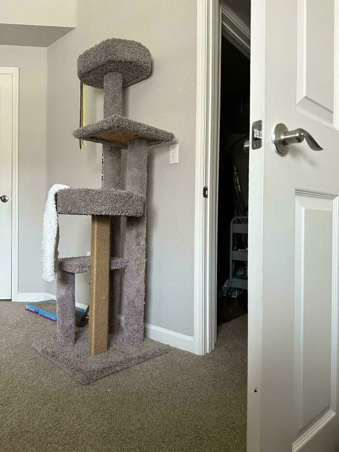Cat camouflaged perfectly on a gray carpeted cat tree blending into the similar colored background indoors.