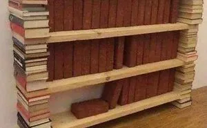 99 DIY Moments That Are Pure Genius Or Downright Stupid (New Pics)