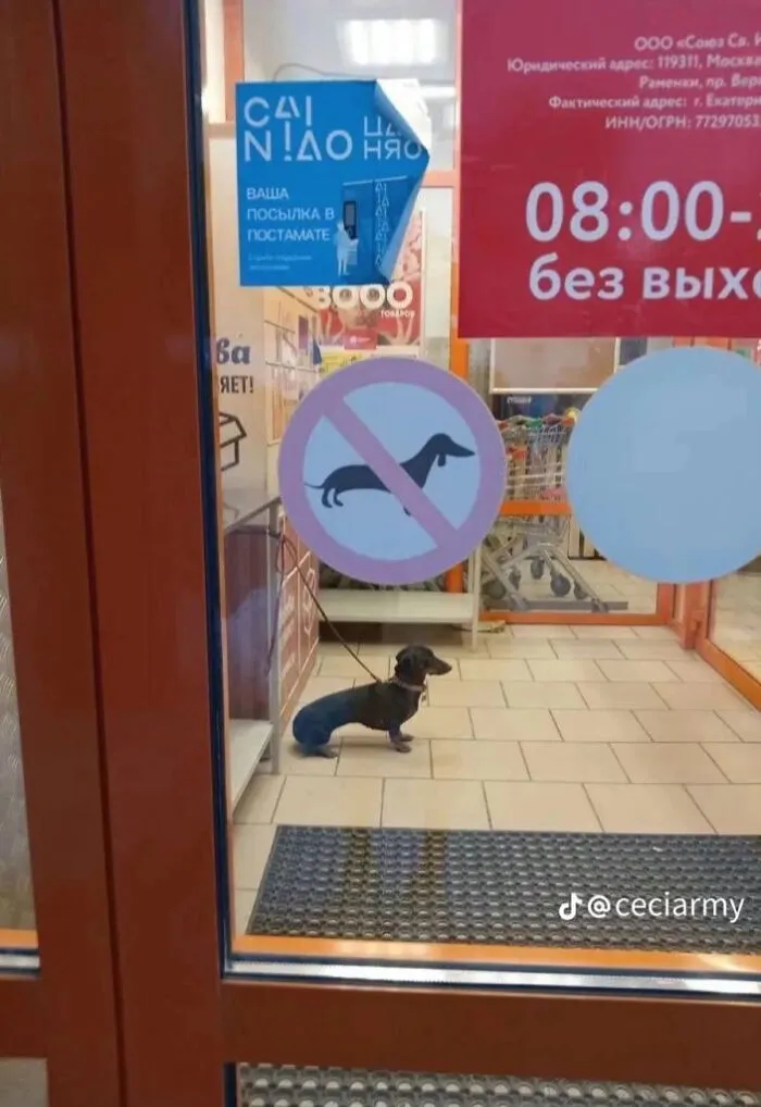 Hmmm