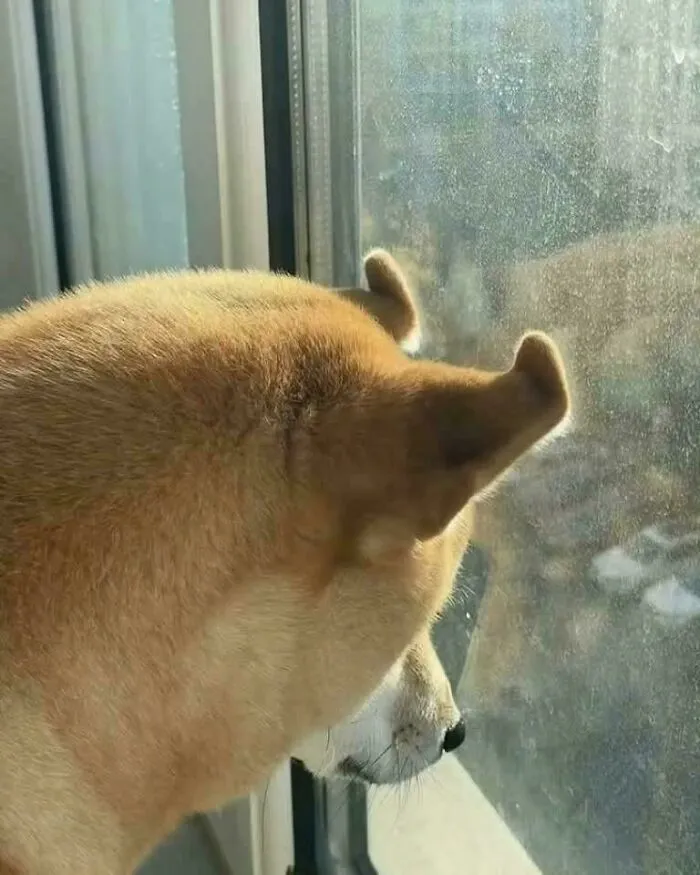Hmmm