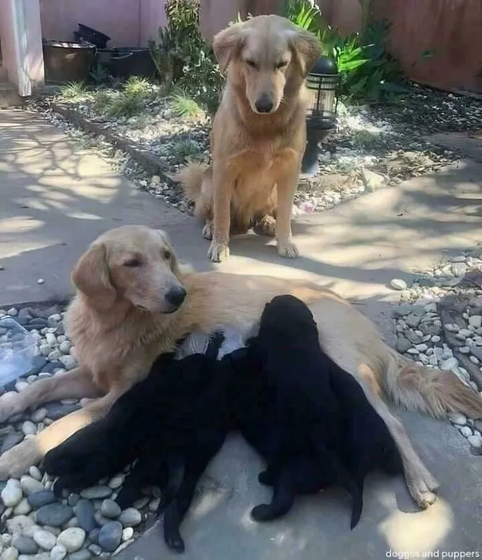 Hmmm
