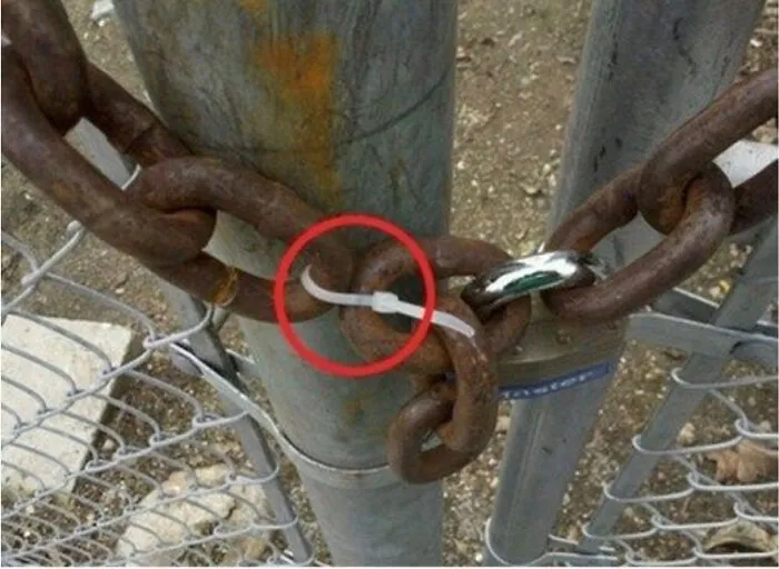 Genius