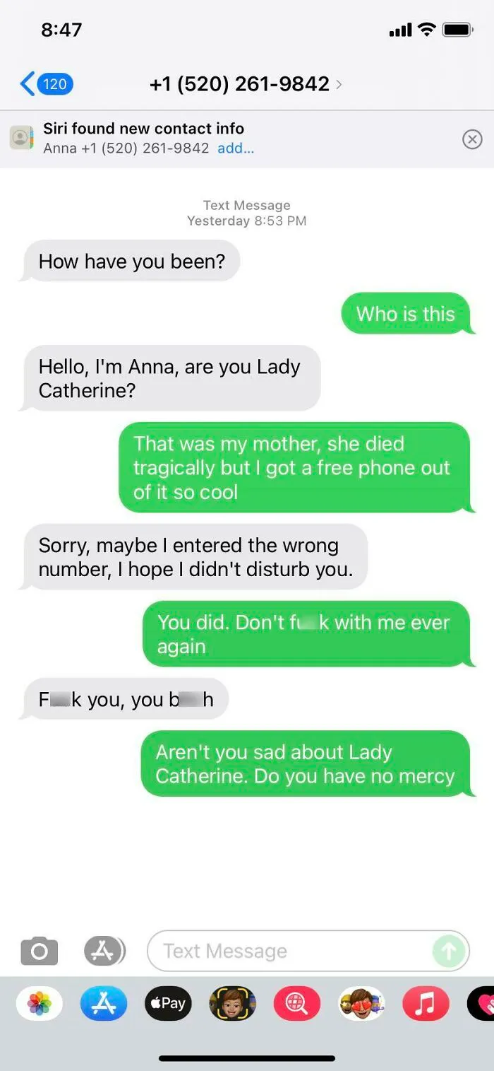 Scammer gets a taste of their own medicine as the wrong person expertly turns the tables, creating hilarity.