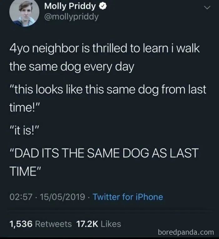 It’s The Same Dog Again!