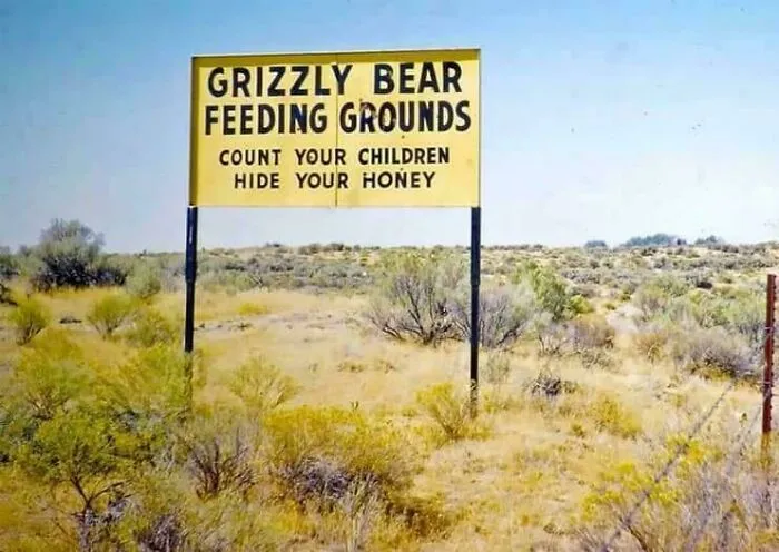 🐻