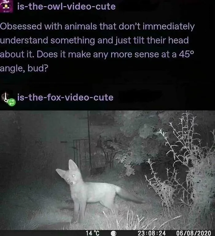 107 Memes That Are Way Too Accurate
