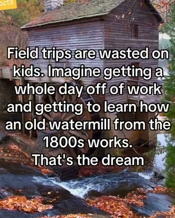 107 Memes That Are Way Too Accurate
